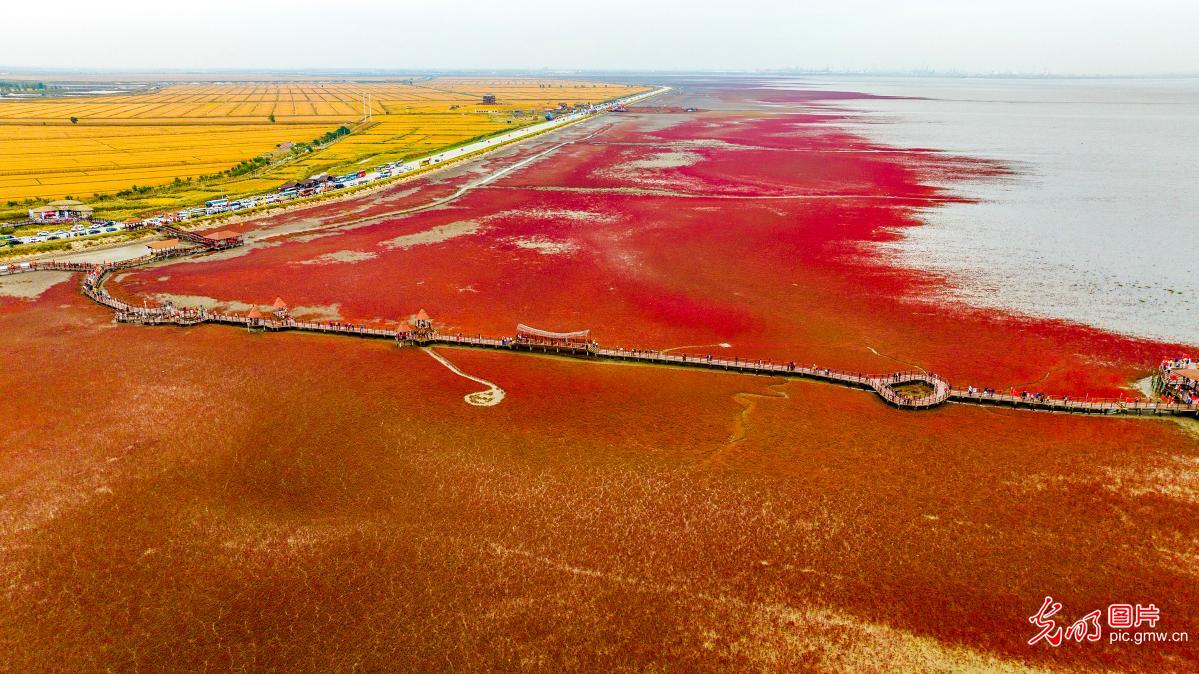 山河铺彩卷 文旅聚人气