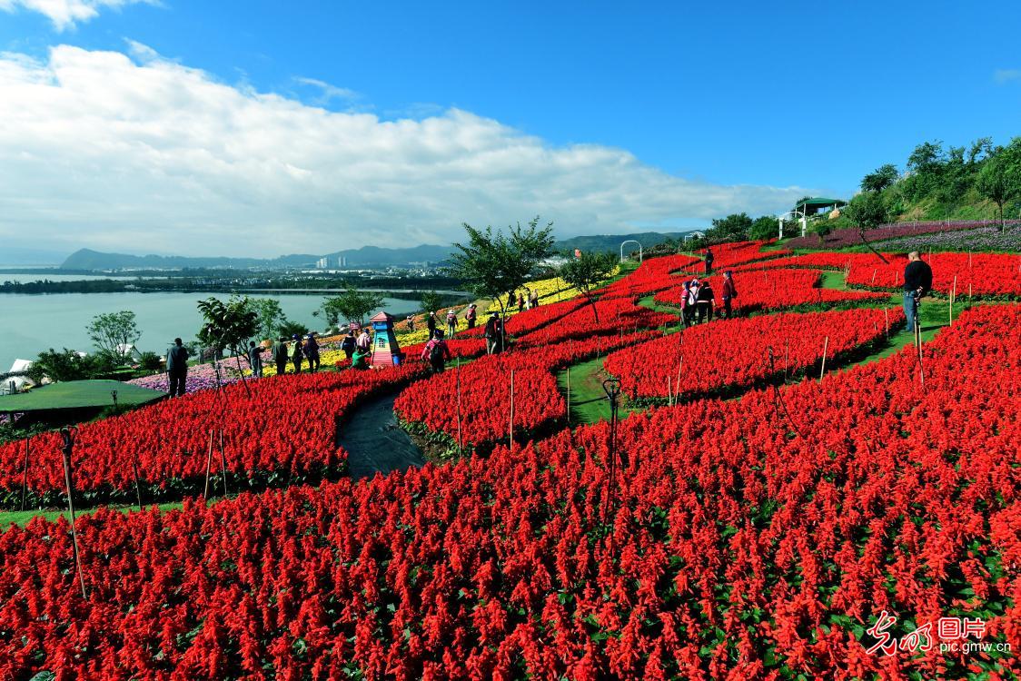 山河铺彩卷 文旅聚人气