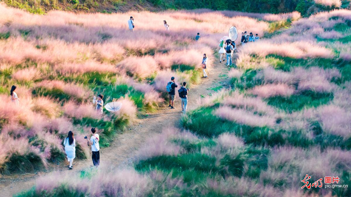 山河铺彩卷 文旅聚人气
