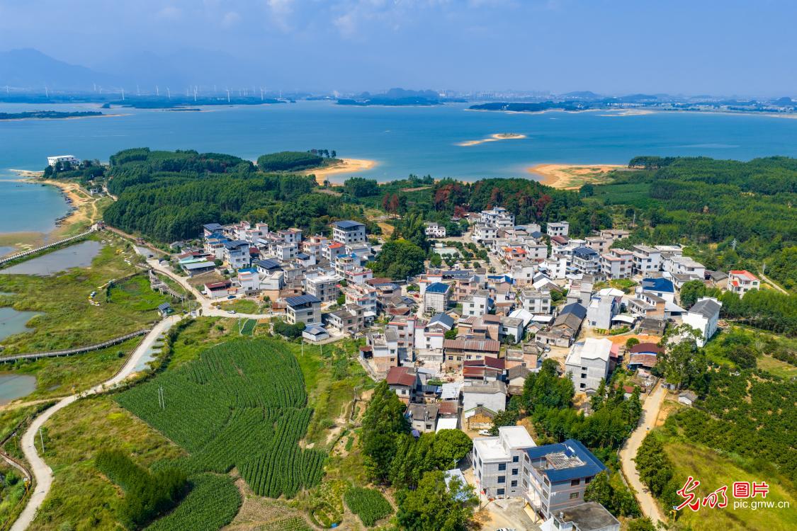 龟石国家湿地公园景观美