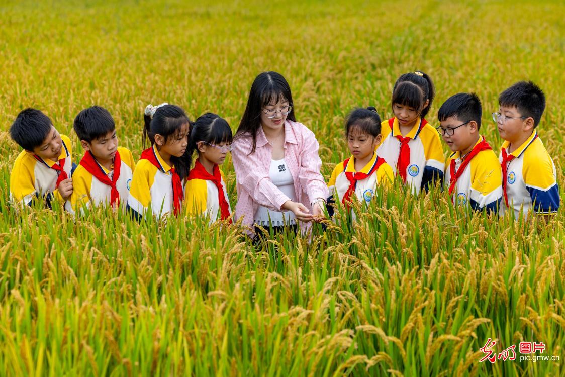 世界粮食日丨爱粮惜粮 从小做起