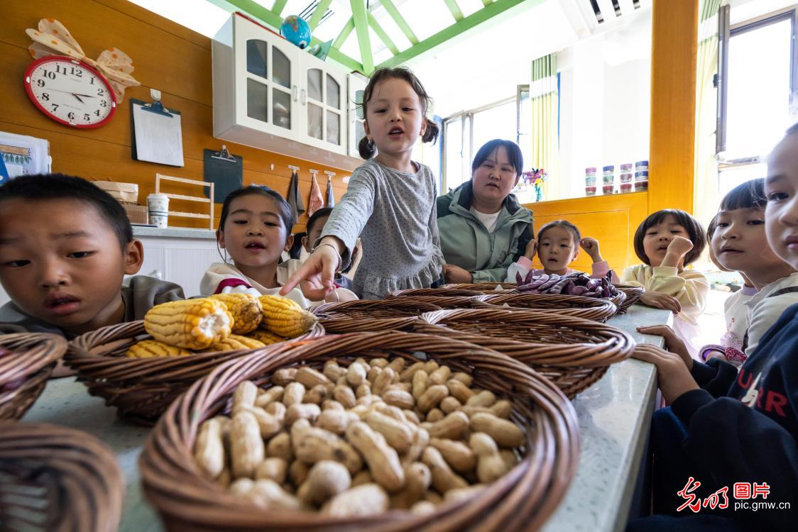 世界粮食日丨爱粮惜粮 从小做起