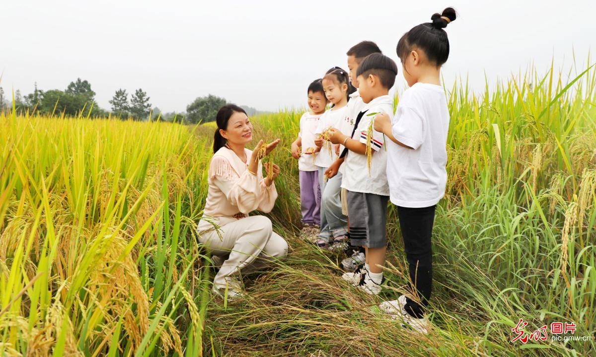 世界粮食日丨爱粮惜粮 从小做起