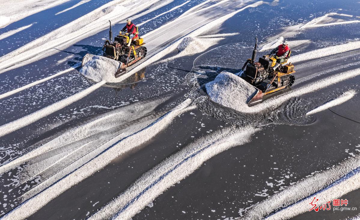 海盐丰收正当时