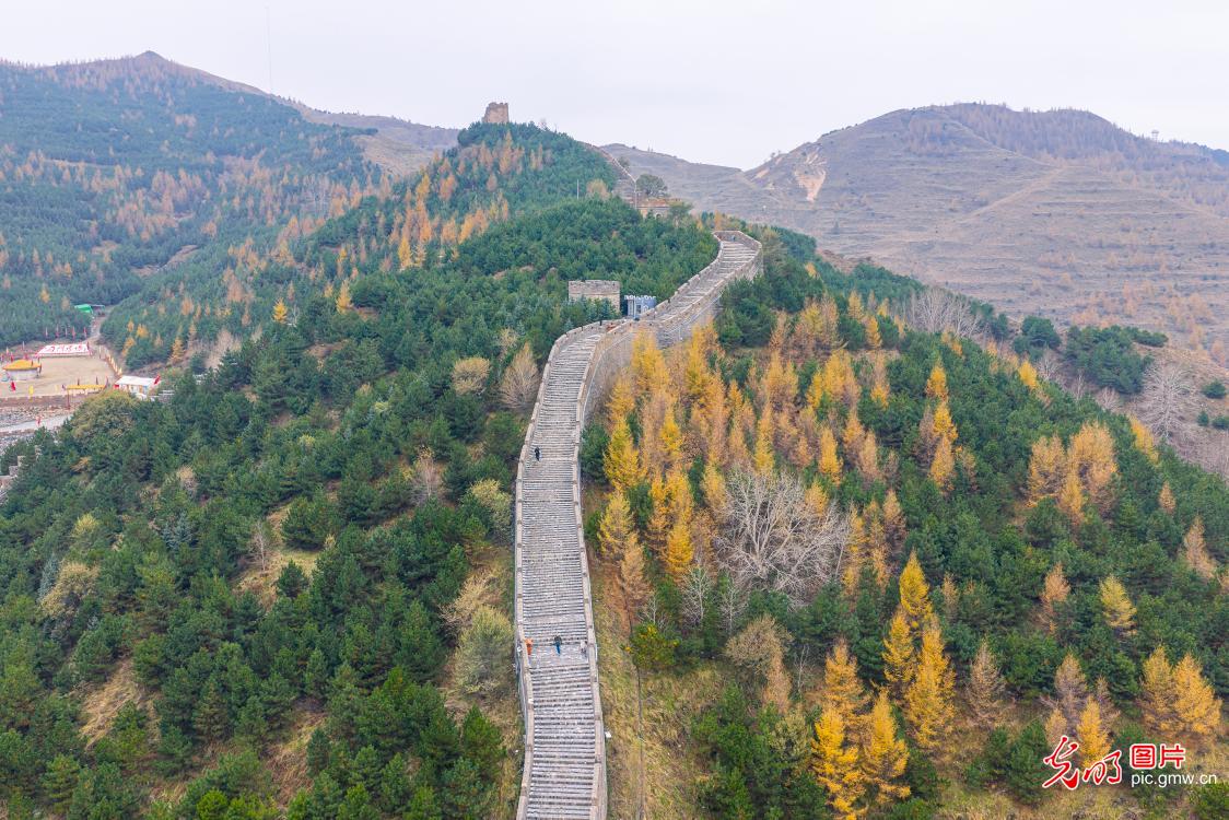 雁门关秋景吸引游客