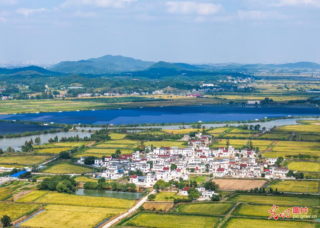 “渔光互补”助力绿色发展