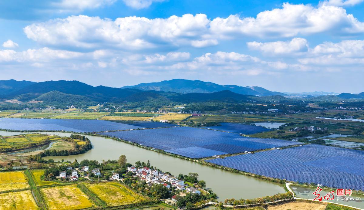 “渔光互补”助力绿色发展