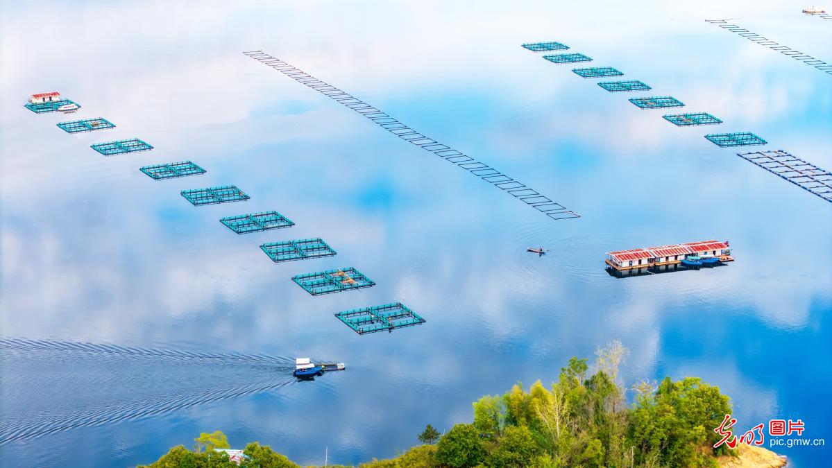 生态养殖绘新景