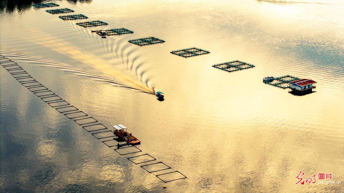 生态养殖绘新景