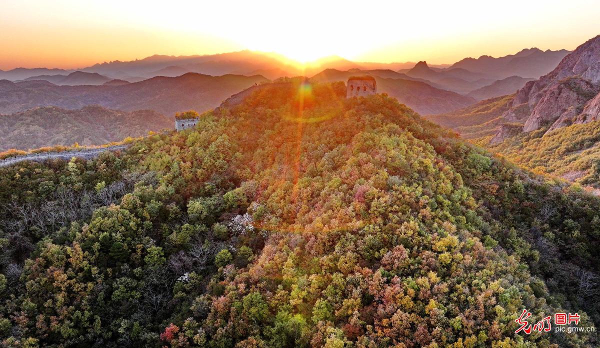 彩叶映长城 共绘秋日水彩画