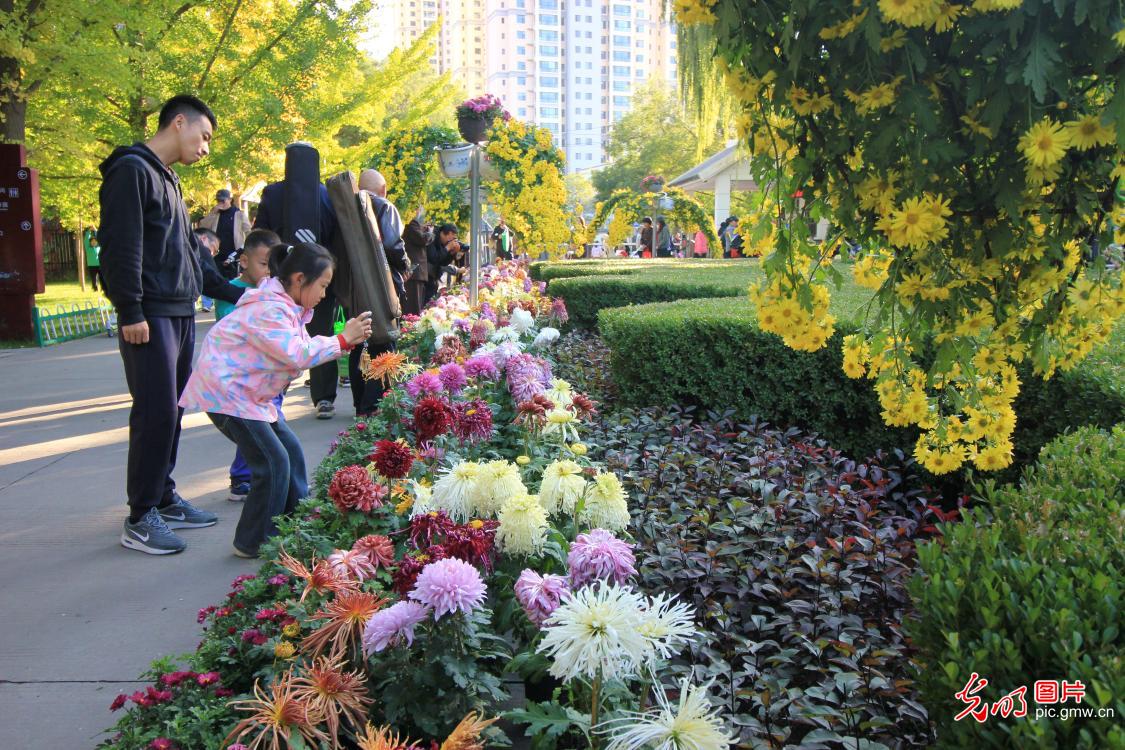 AI绘重阳 寻传统节日的变与不变 AI绘重阳 寻传统节日的变与不变