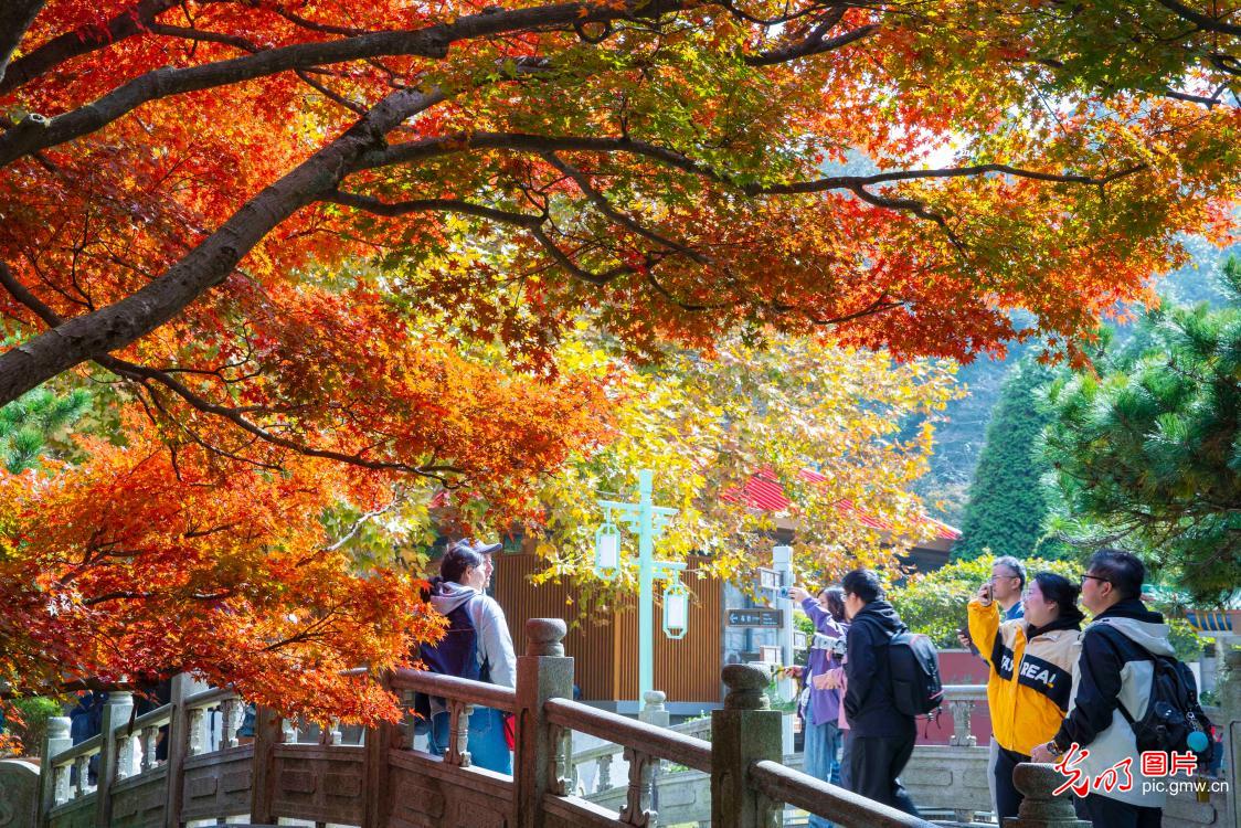 金秋时节山河锦绣 沉浸式感受全国“秋日限定”皮肤 金秋时节山河锦绣 沉浸式感受全国“秋日限定”皮肤