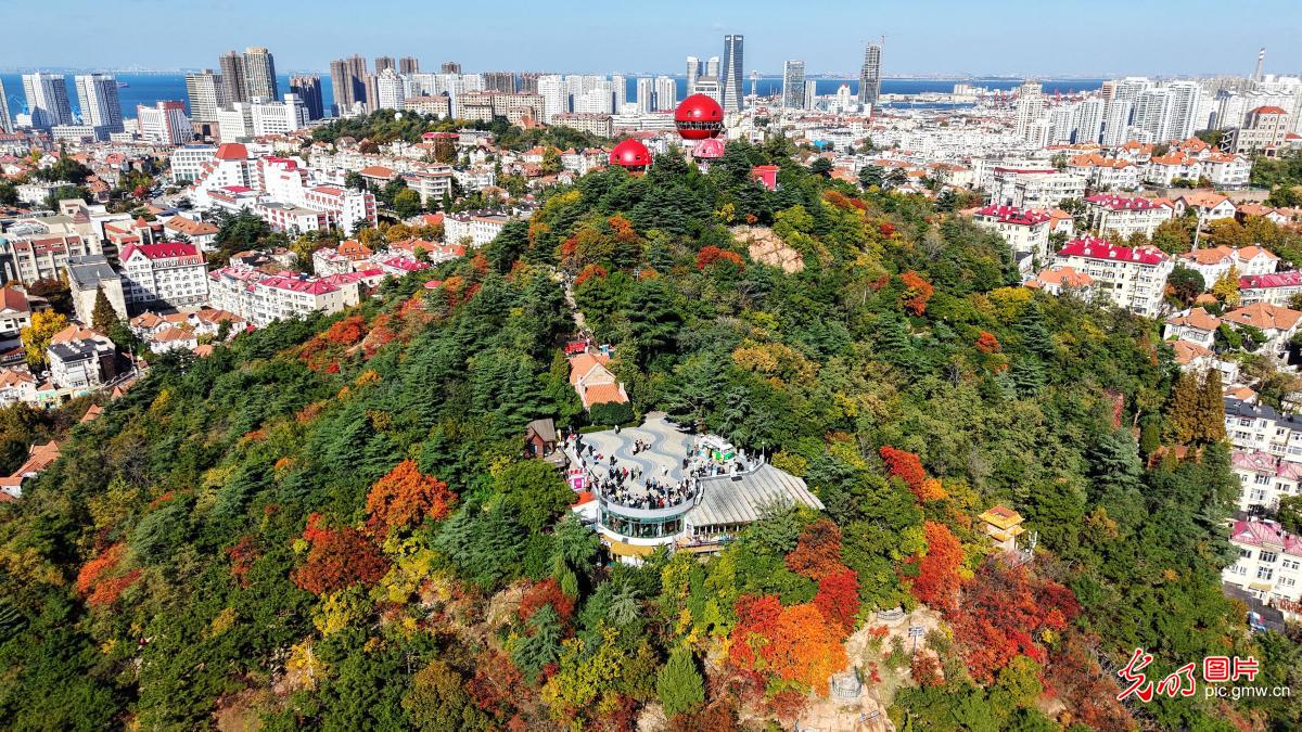 金秋时节山河锦绣 沉浸式感受全国“秋日限定”皮肤 金秋时节山河锦绣 沉浸式感受全国“秋日限定”皮肤