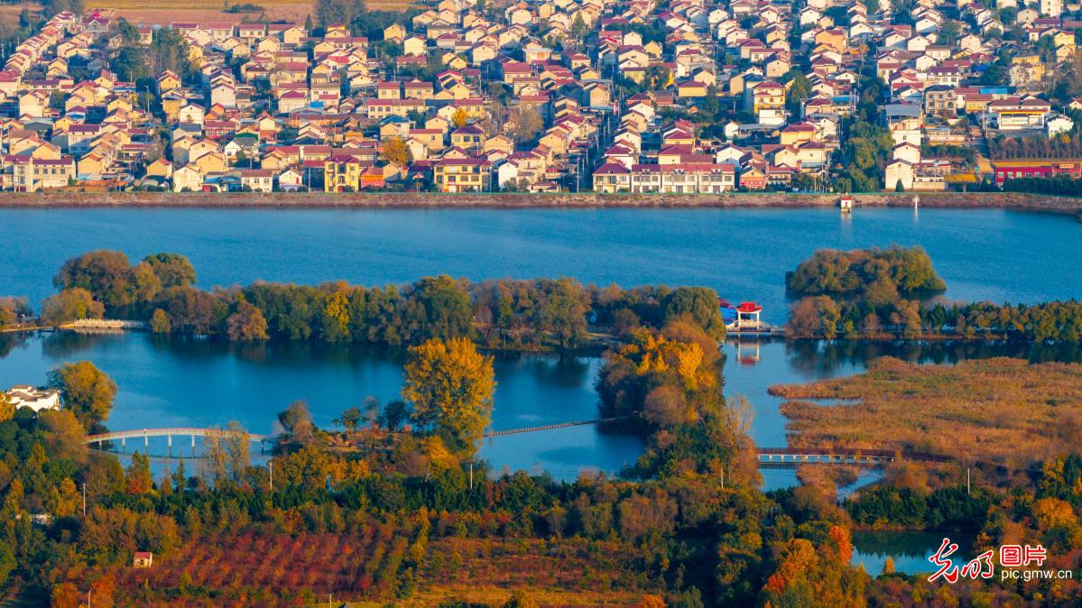 金秋时节山河锦绣 沉浸式感受全国“秋日限定”皮肤 金秋时节山河锦绣 沉浸式感受全国“秋日限定”皮肤