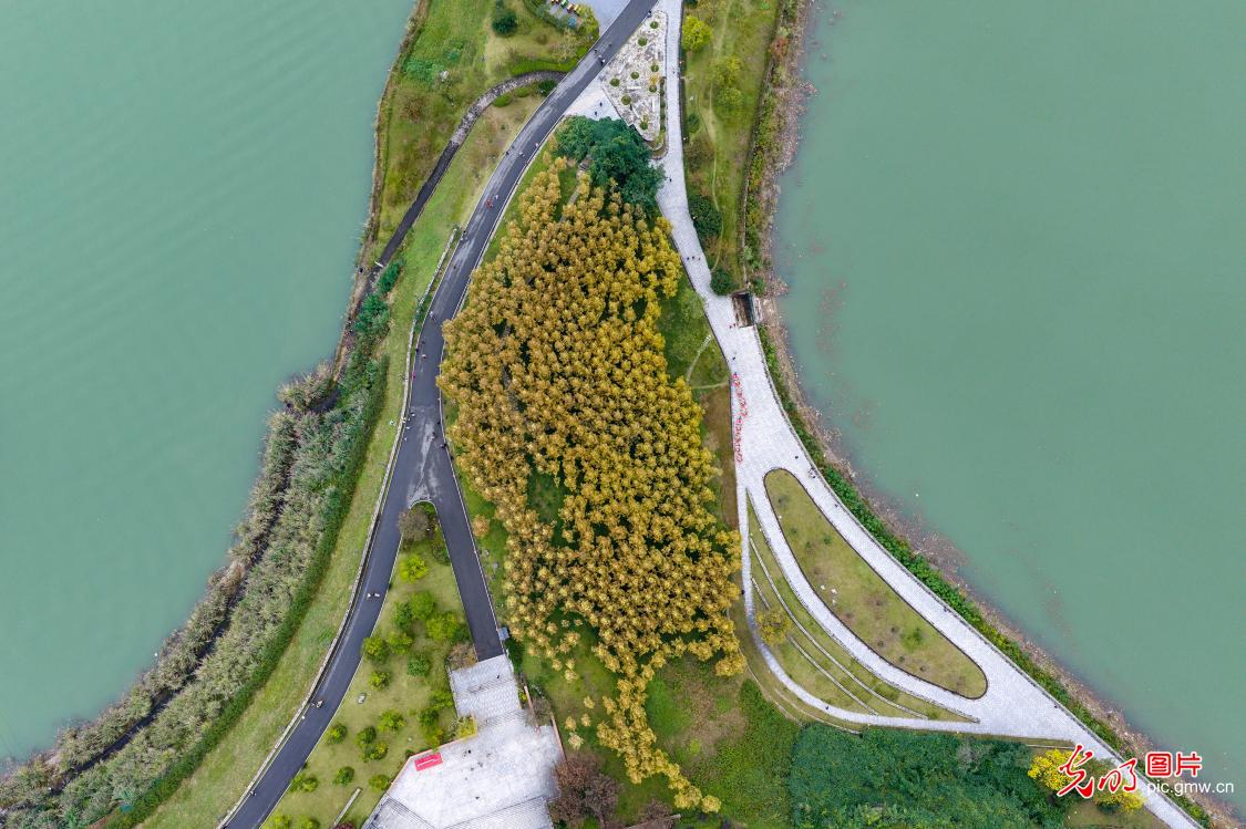 三峡库区景美如画