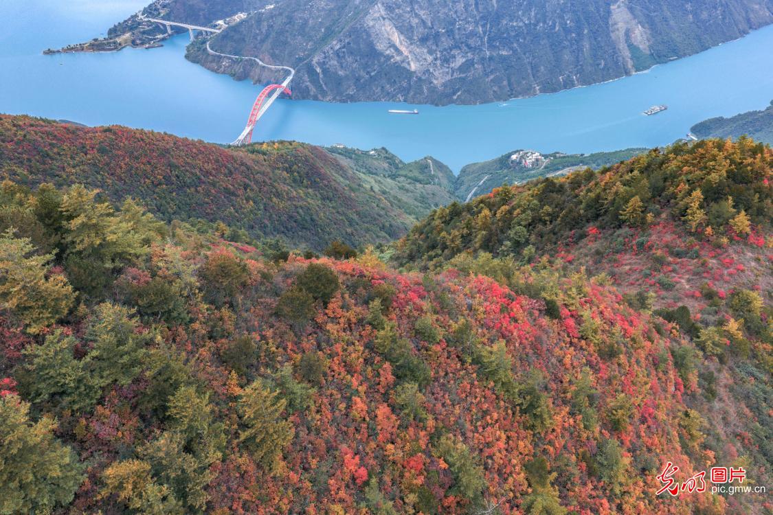 巫峡初冬景如画