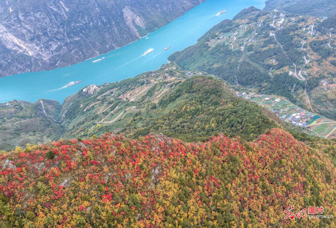 巫峡初冬景如画
