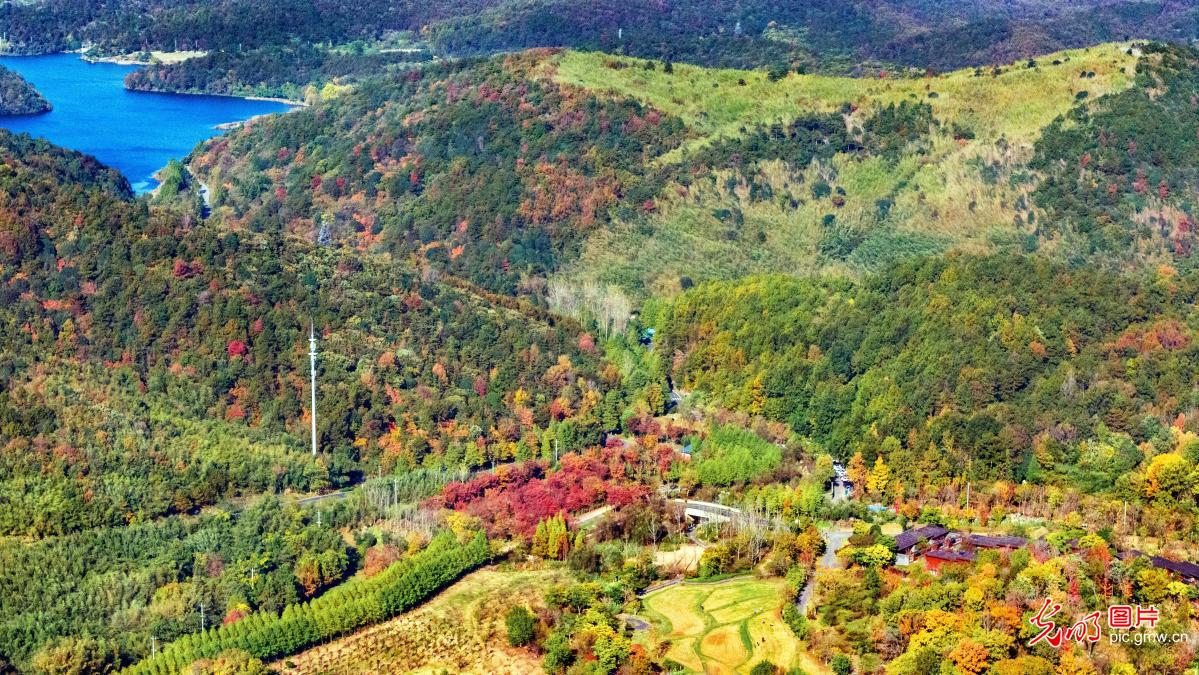 森林公园 色彩斑斓