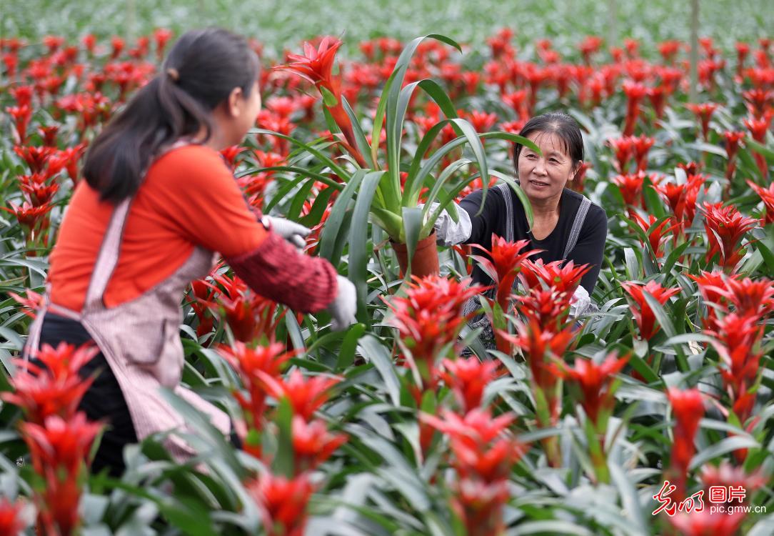 花海铺就乡村“致富路”