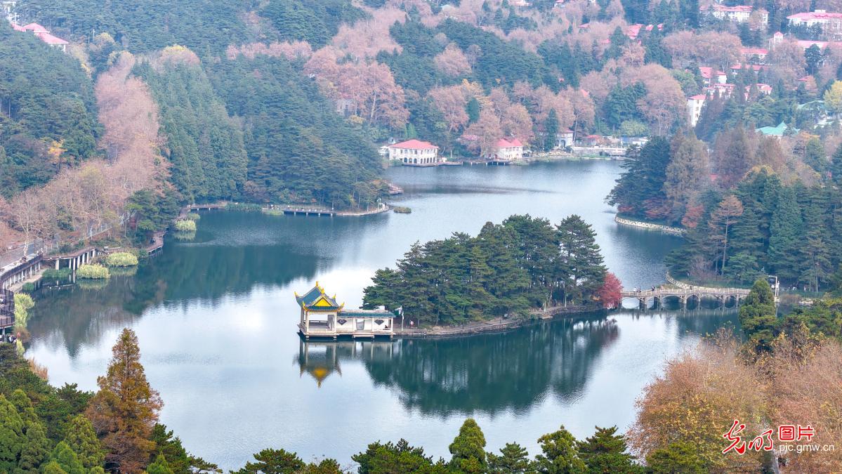 江西庐山开启金秋赏枫季