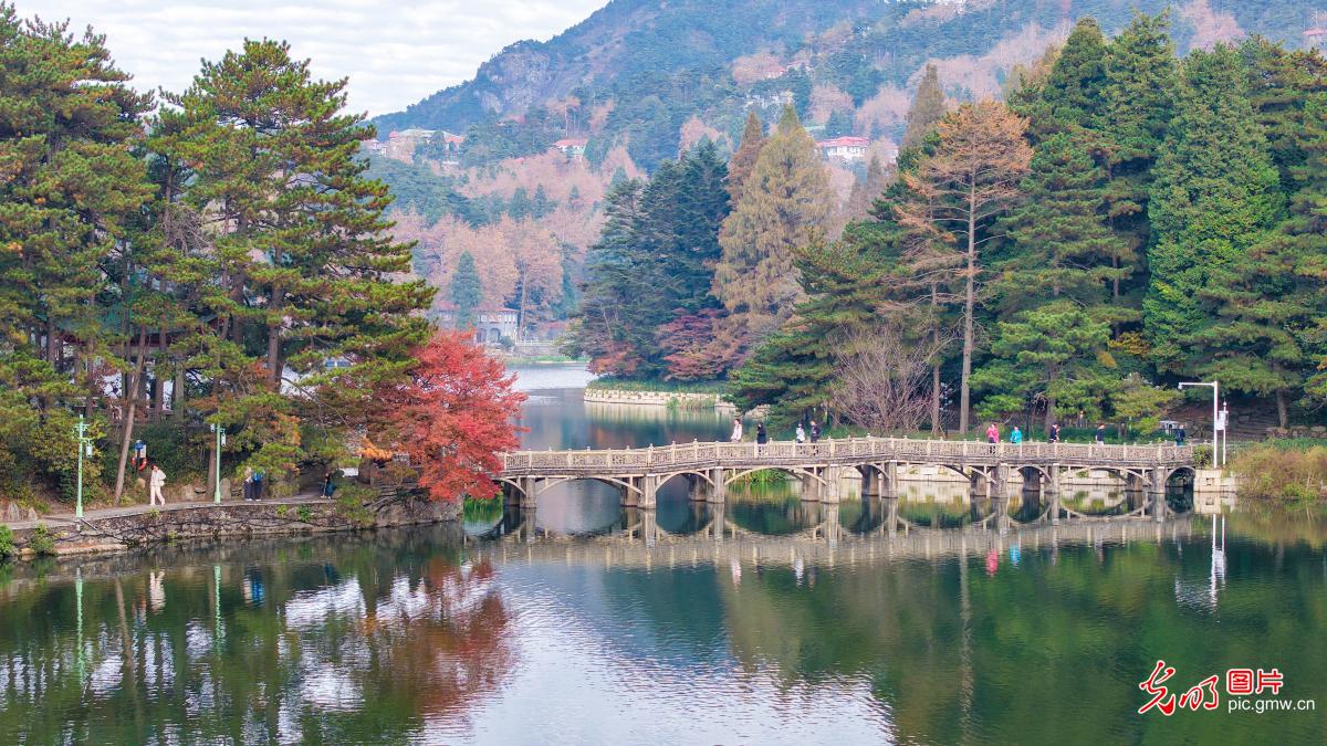 江西庐山开启金秋赏枫季