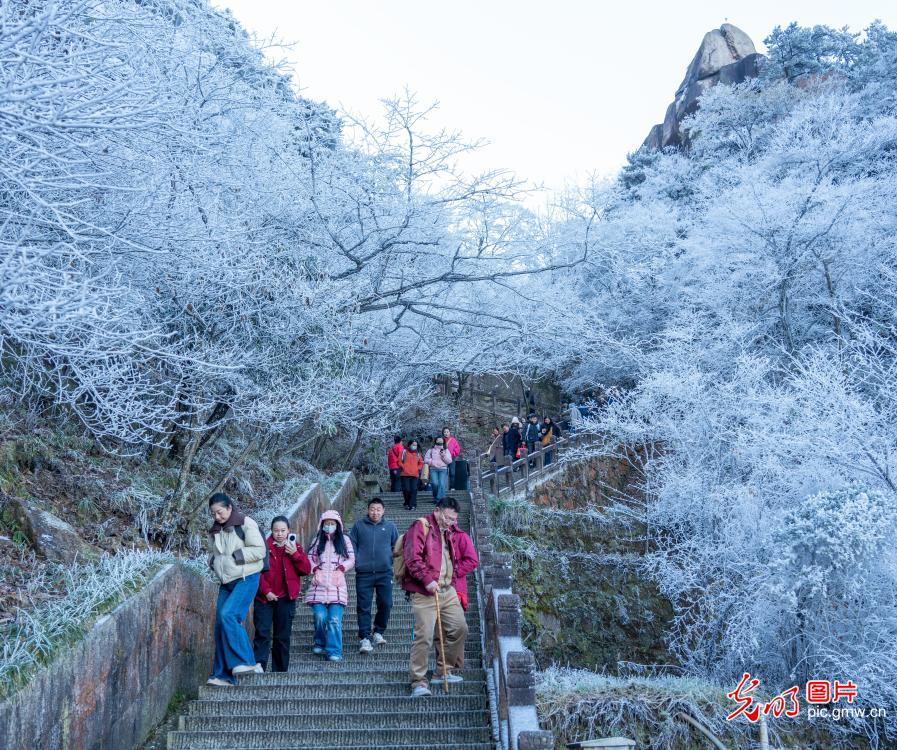 九华山雾凇美景迷游人