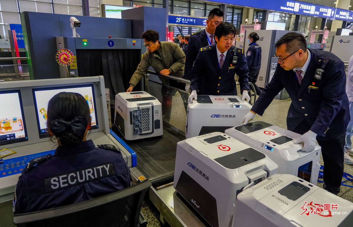 乘高铁携宠享乐游