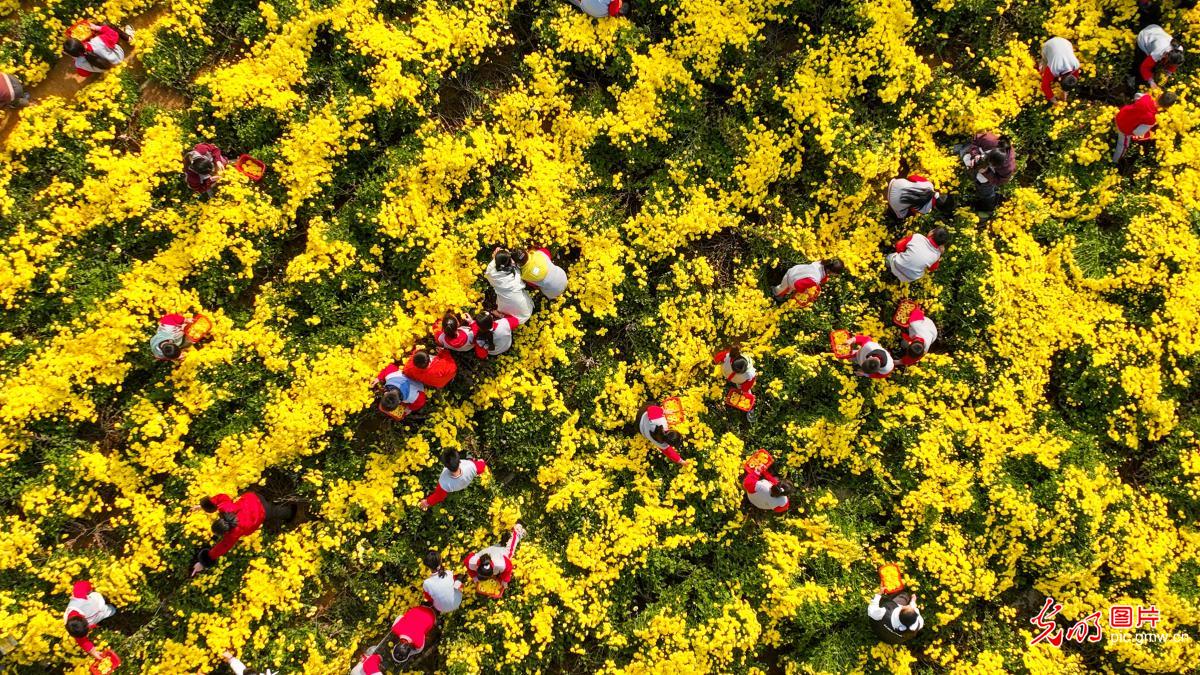 “田间课堂”助成长 “田间课堂”助成长