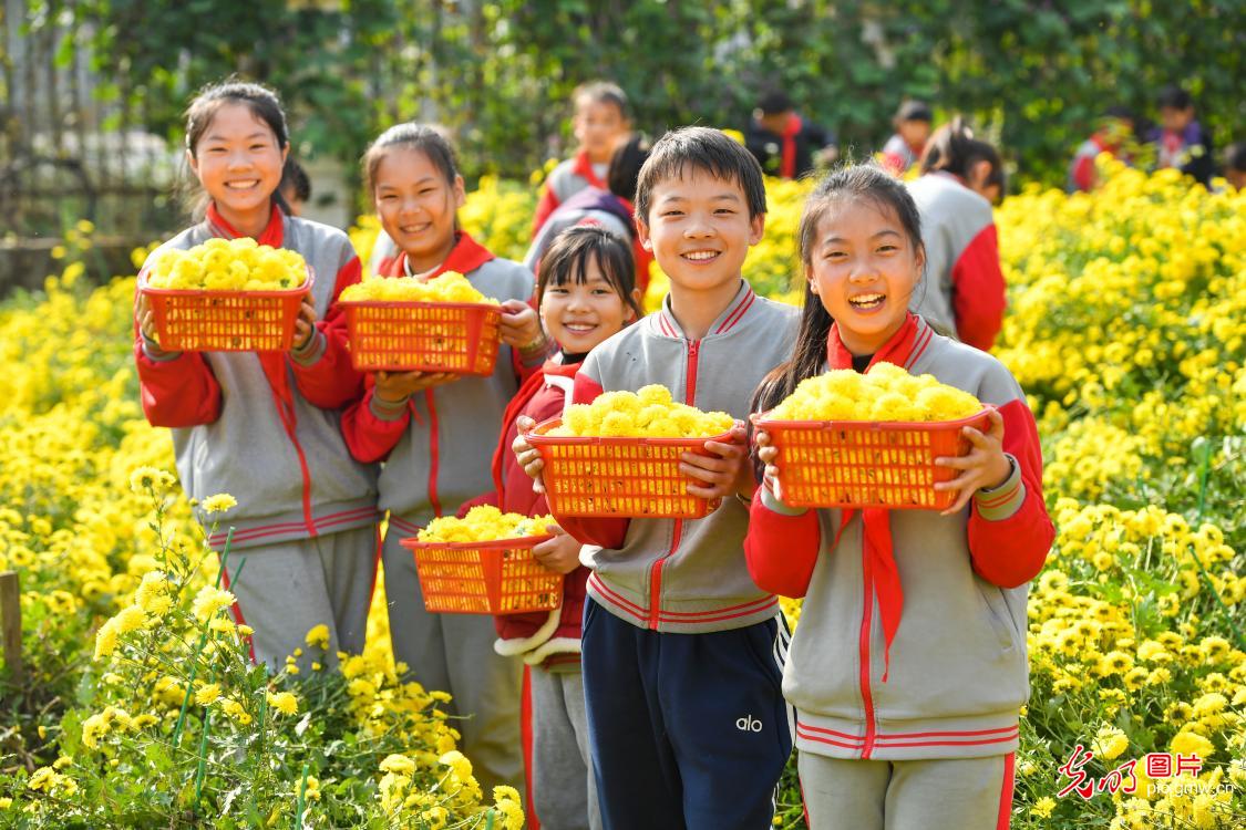 “田间课堂”助成长 “田间课堂”助成长