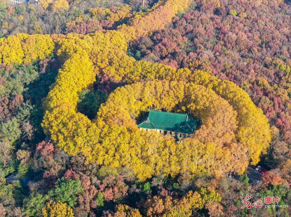 钟山风景名胜区冬景如画