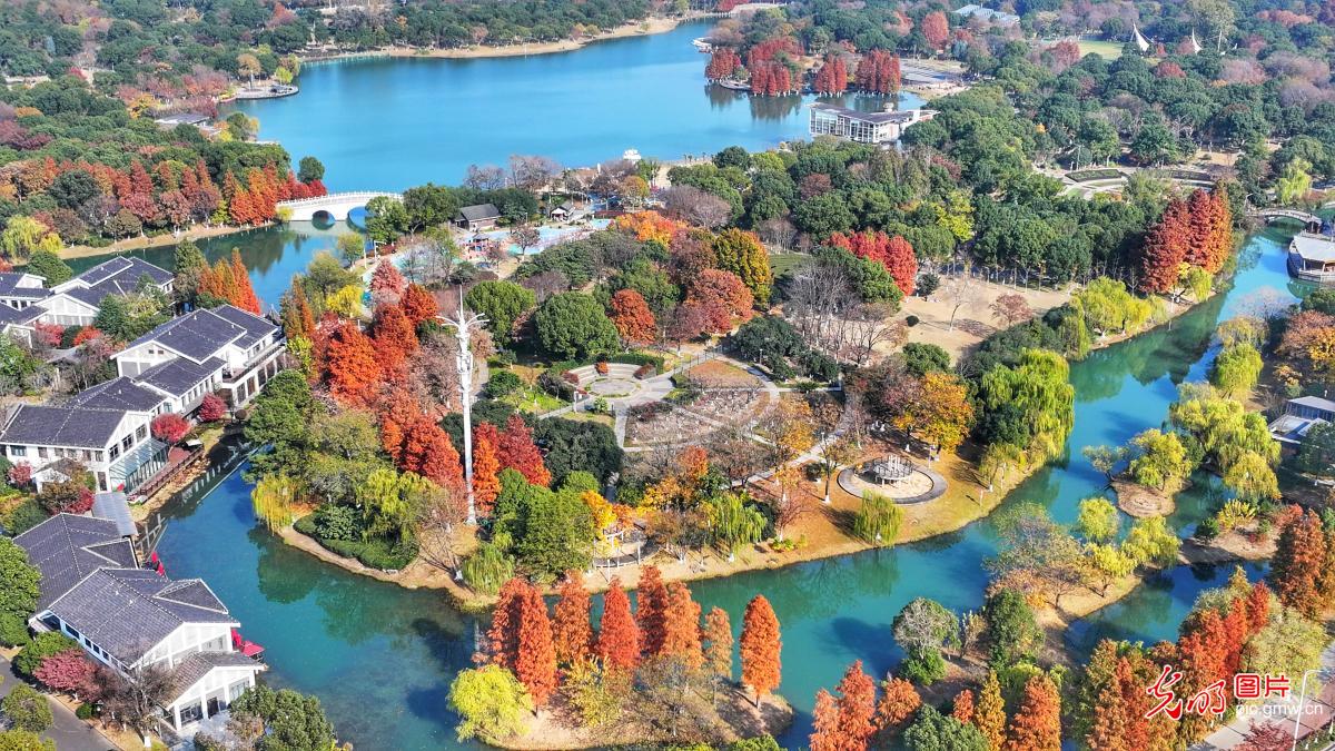 生态公园 斑斓冬韵