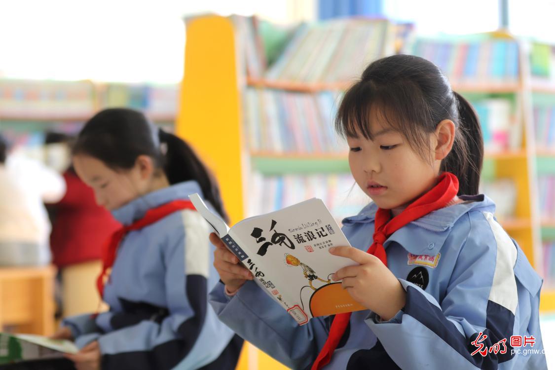 冬日暖阳伴书香