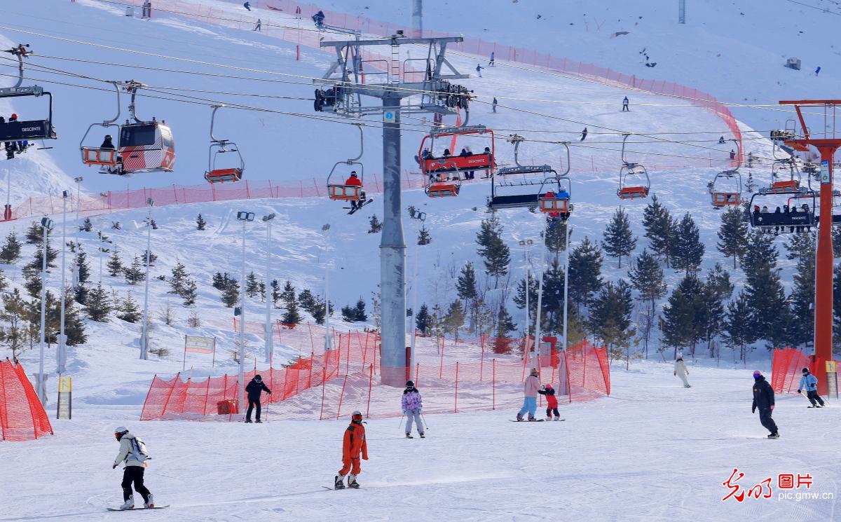 【冰雪暖民生】新手滑雪不踩坑 这5个知识点先拿捏 【冰雪暖民生】新手滑雪不踩坑 这5个知识点先拿捏