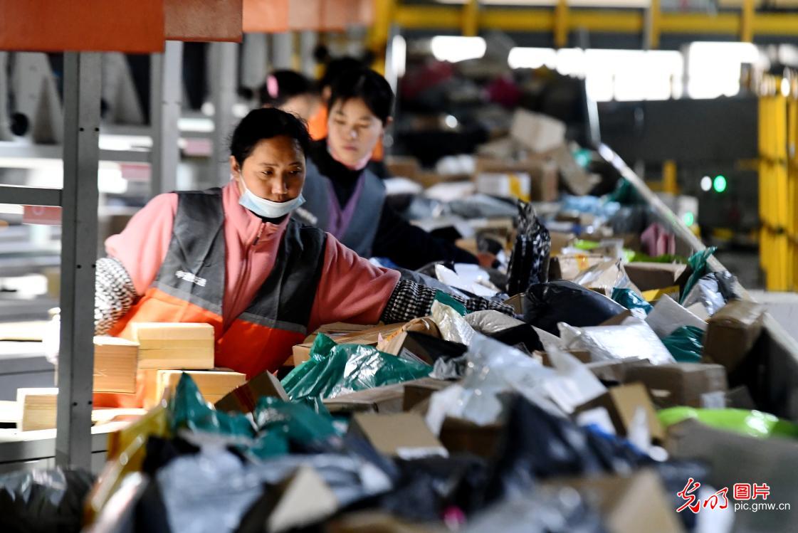 迎战“双十二” 快递分拣忙