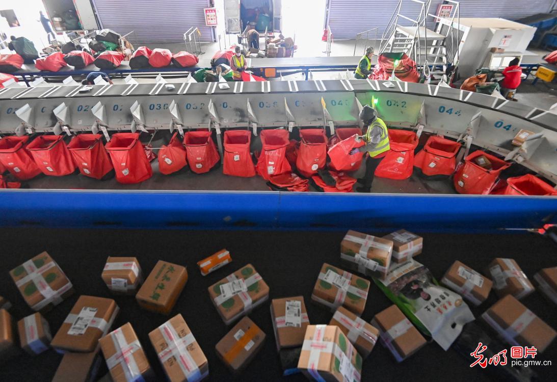 迎战“双十二” 快递分拣忙