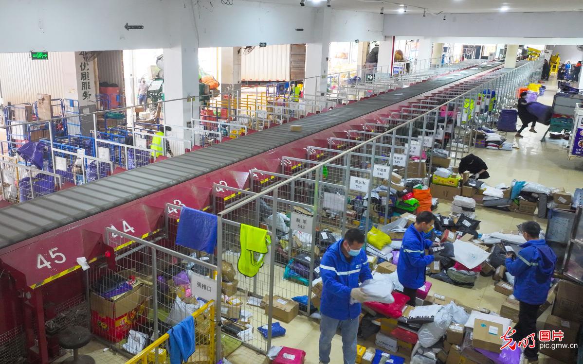 迎战“双十二” 快递分拣忙