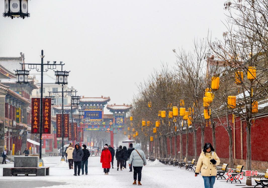 雪落青城 美景如画