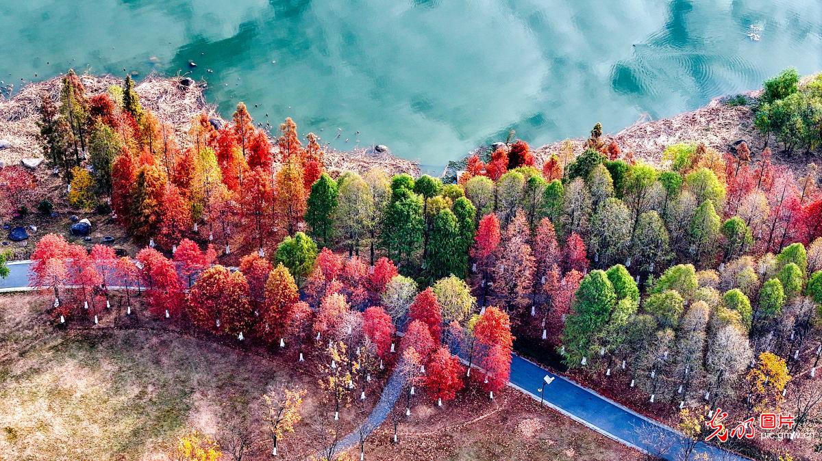 多彩冬日 美丽画卷