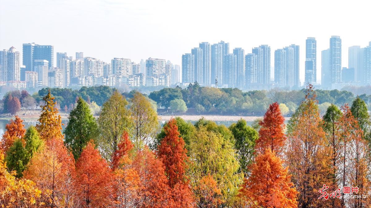 多彩冬日 美丽画卷