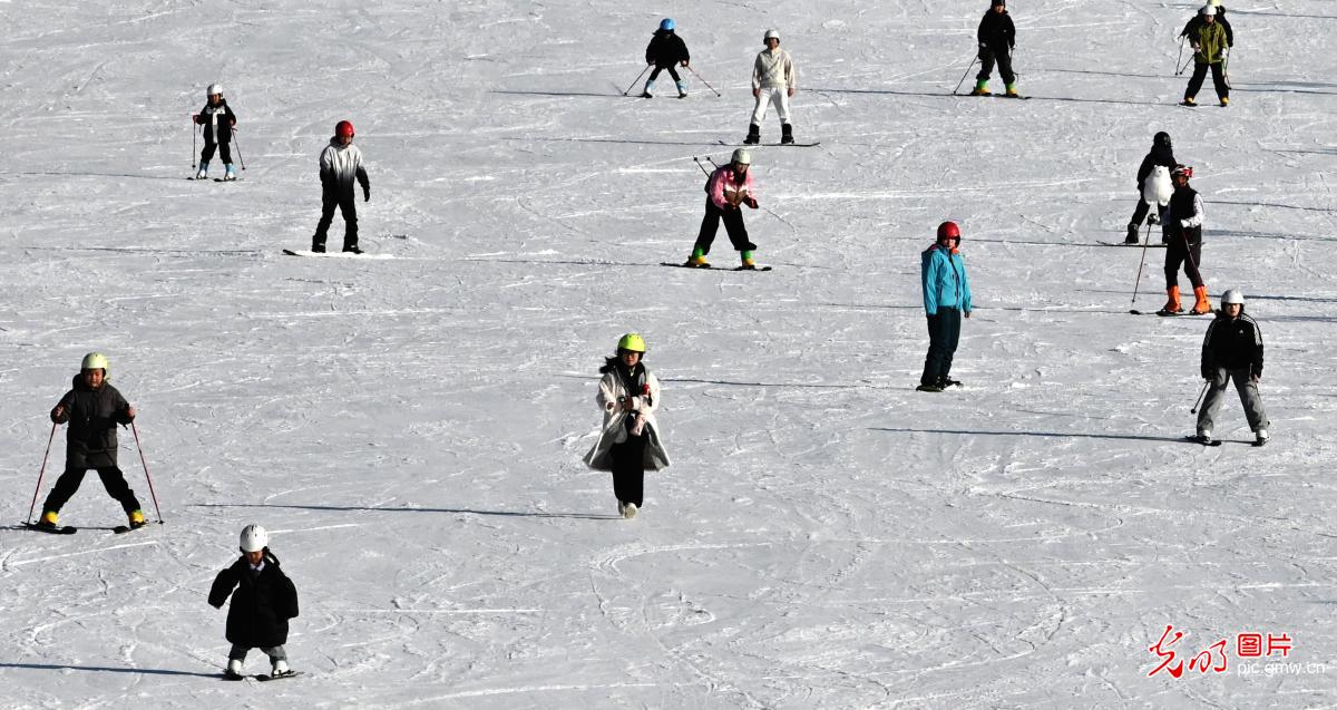 【冰天雪地的“热答卷”】驰骋冰雪间 涌动新经济