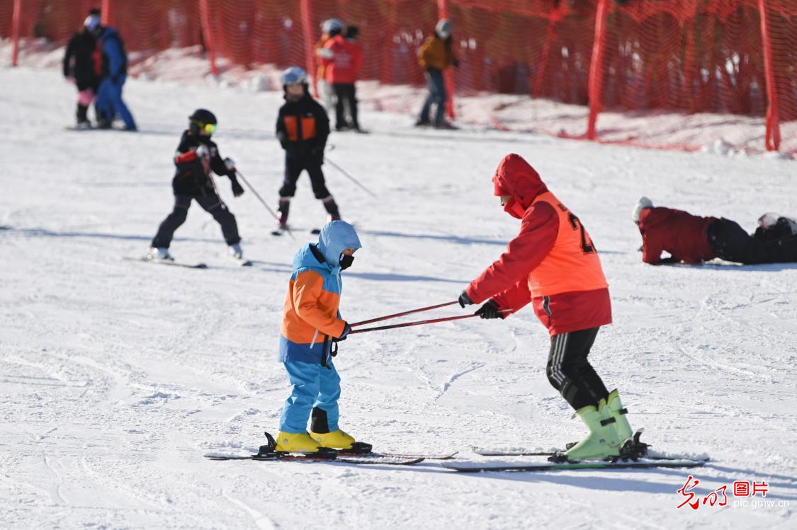 【冰天雪地的“热答卷”】驰骋冰雪间 涌动新经济