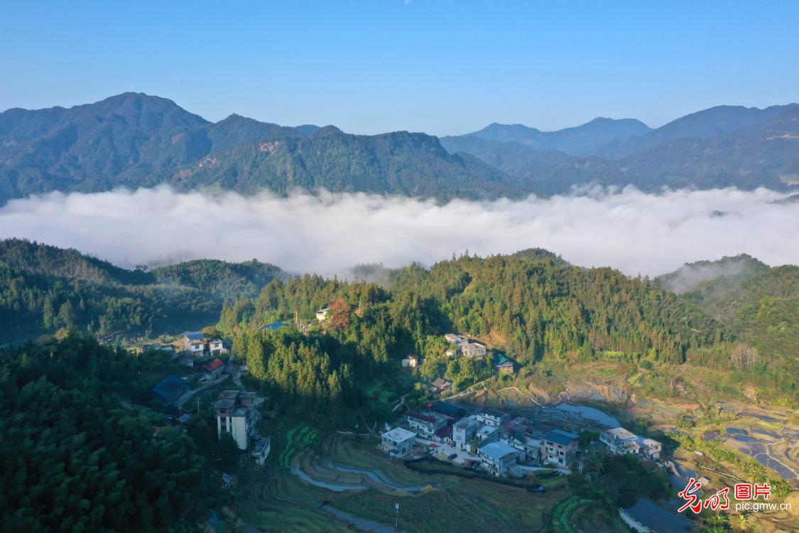 生态美景入画来