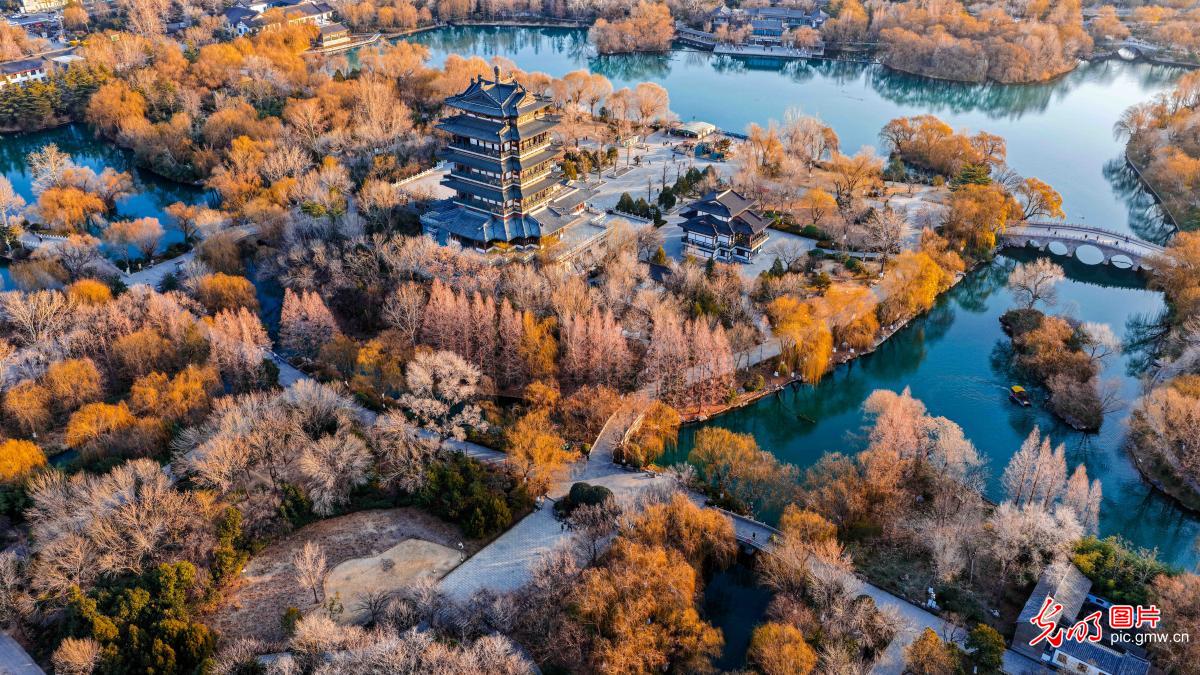 大明湖冬景如画