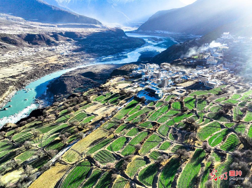 雅鲁藏布大峡谷冬景美如画