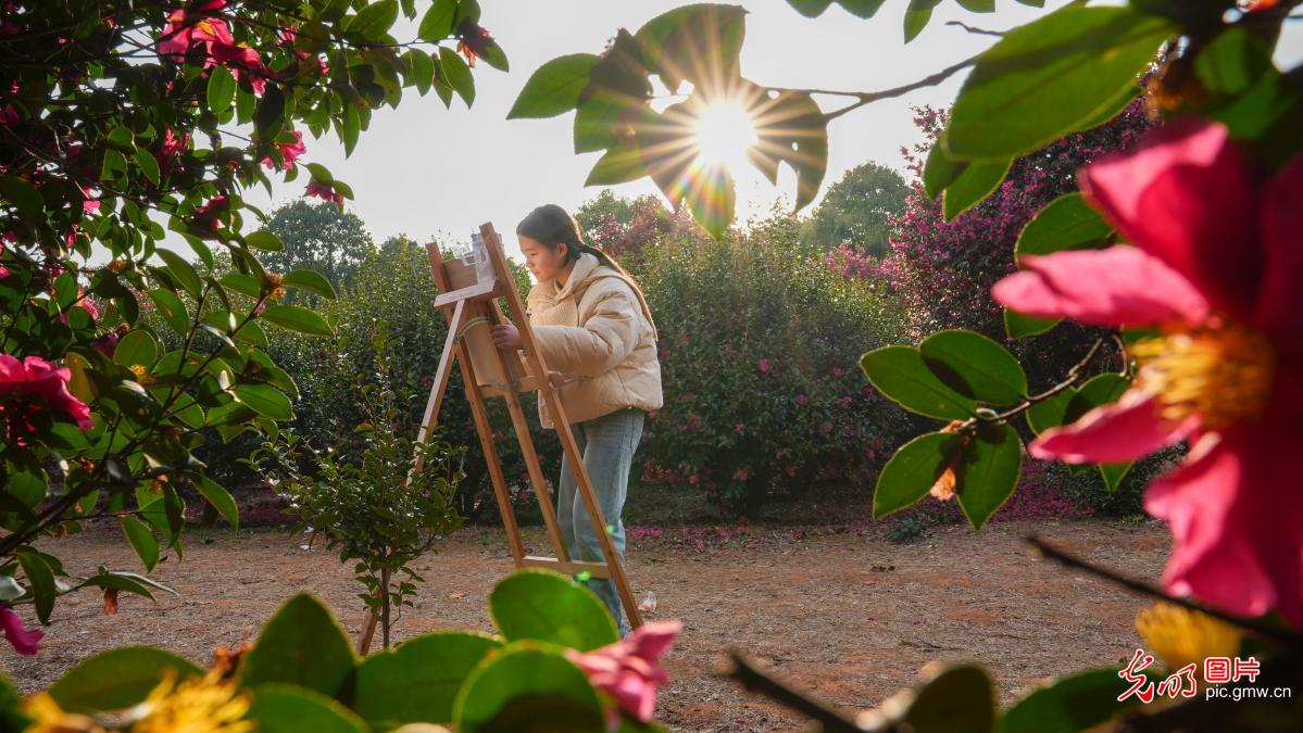 茶花映画 童趣满园