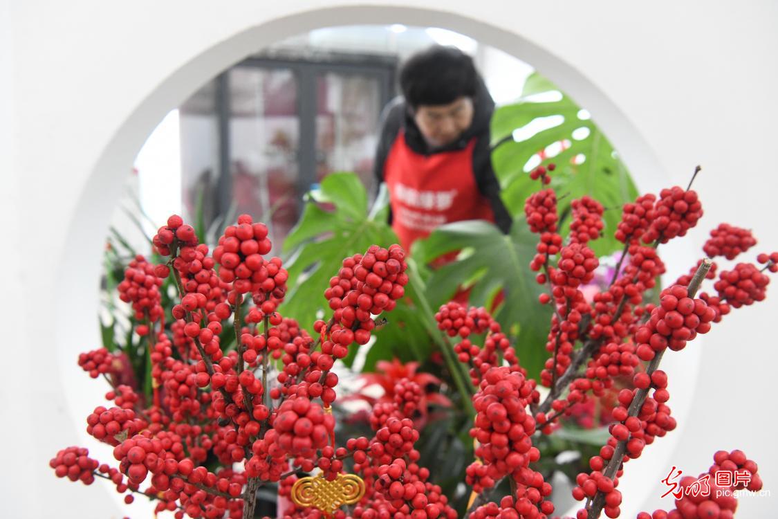 【新春走基层】新春花市“春来早” 全国花农保供忙