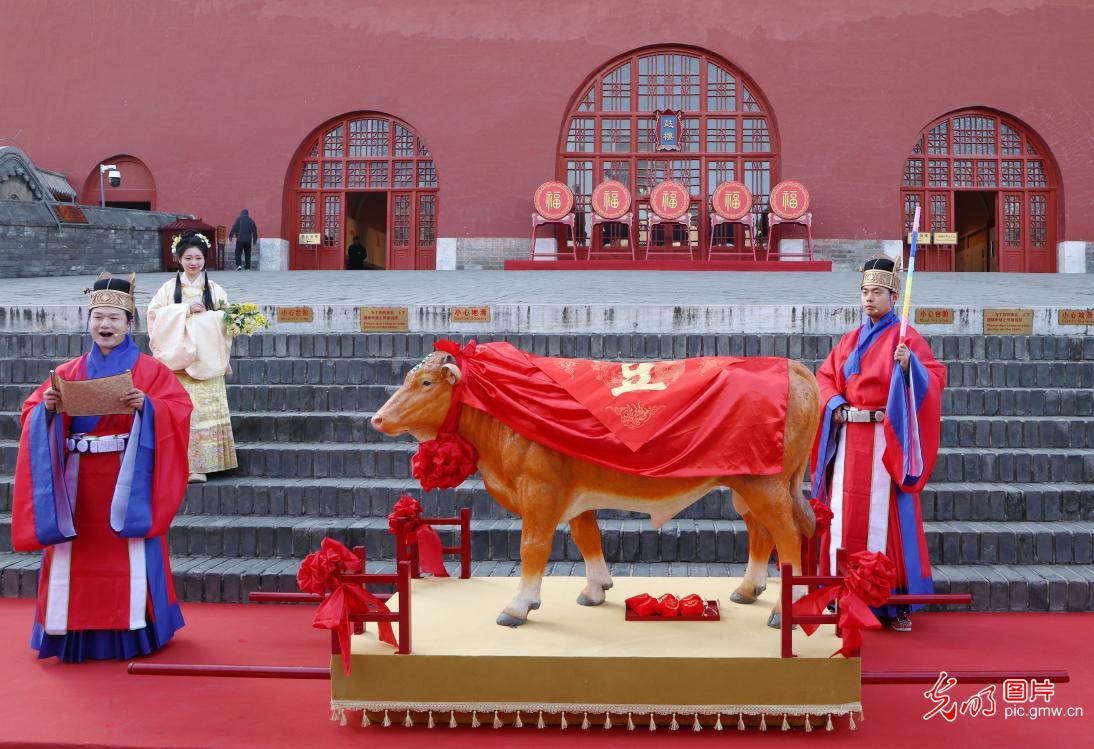 立春风送暖 俗韵满人间