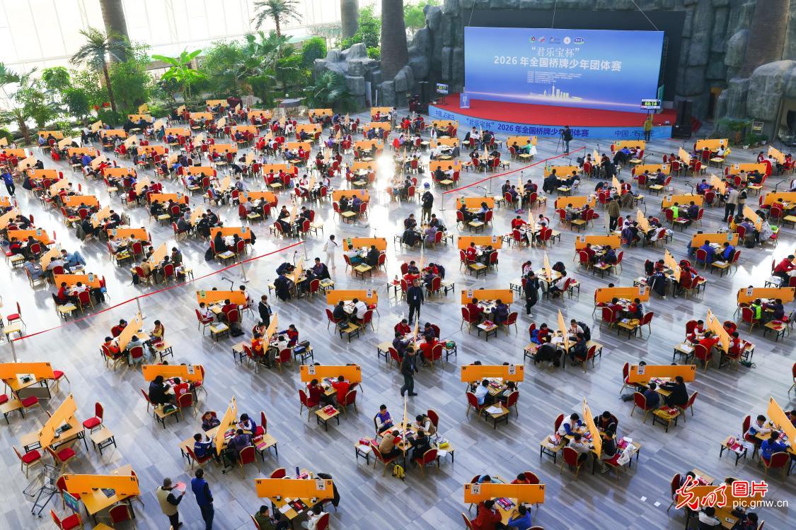 2026年全国桥牌少年团体赛在石家庄举办