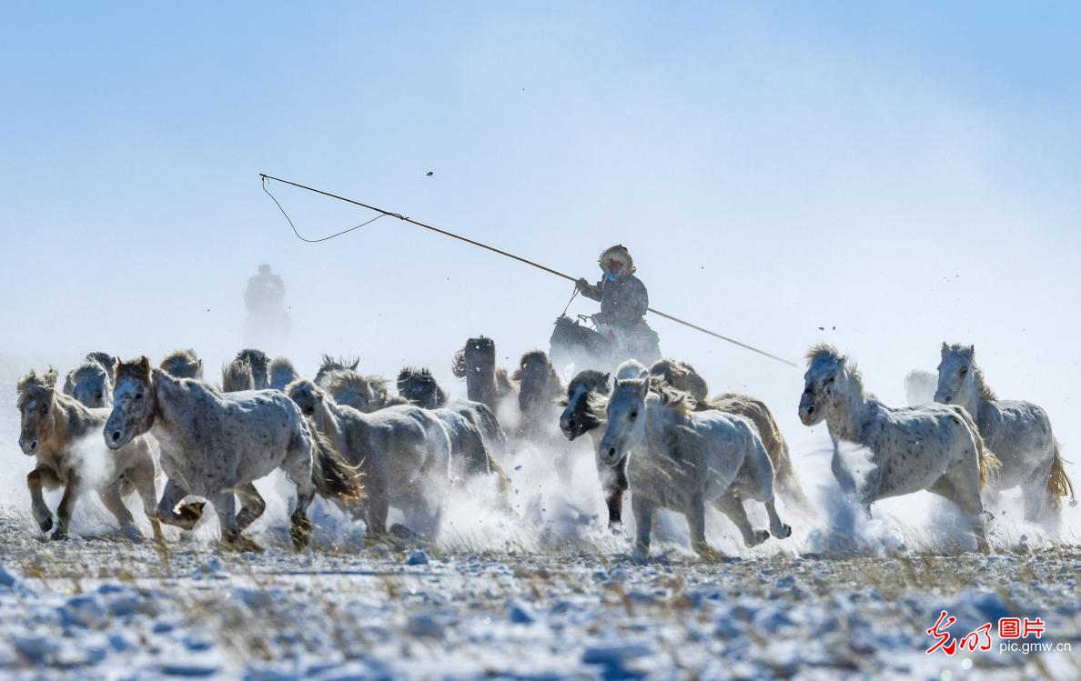 策马踏雪迎新春