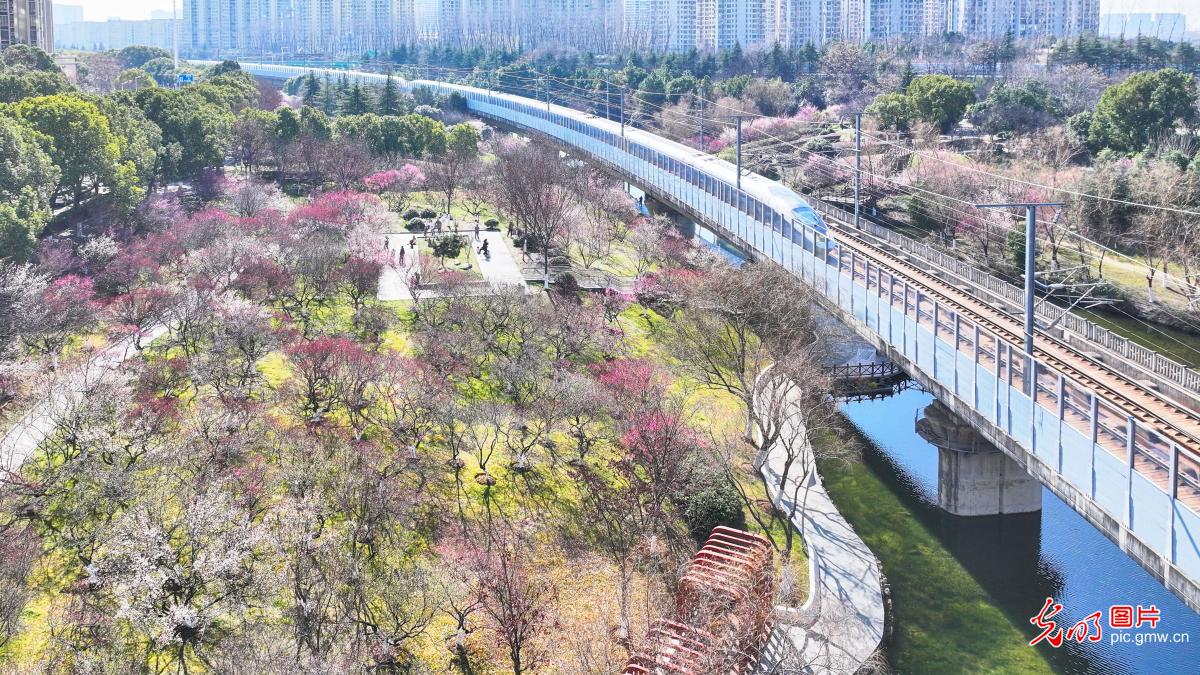 开往春天的列车